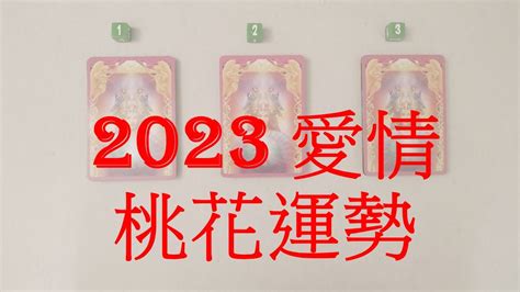 正緣桃花流年 放視2023